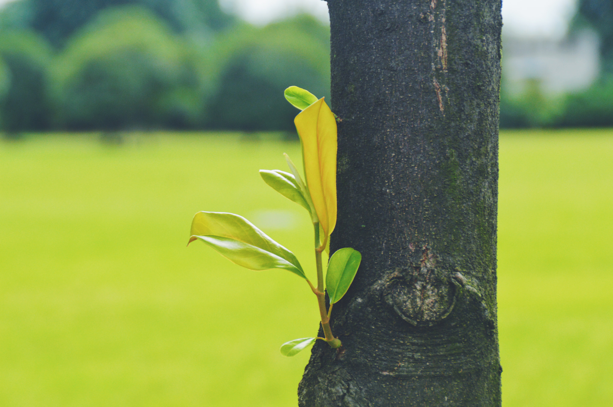 Nikon D3200 sample photo