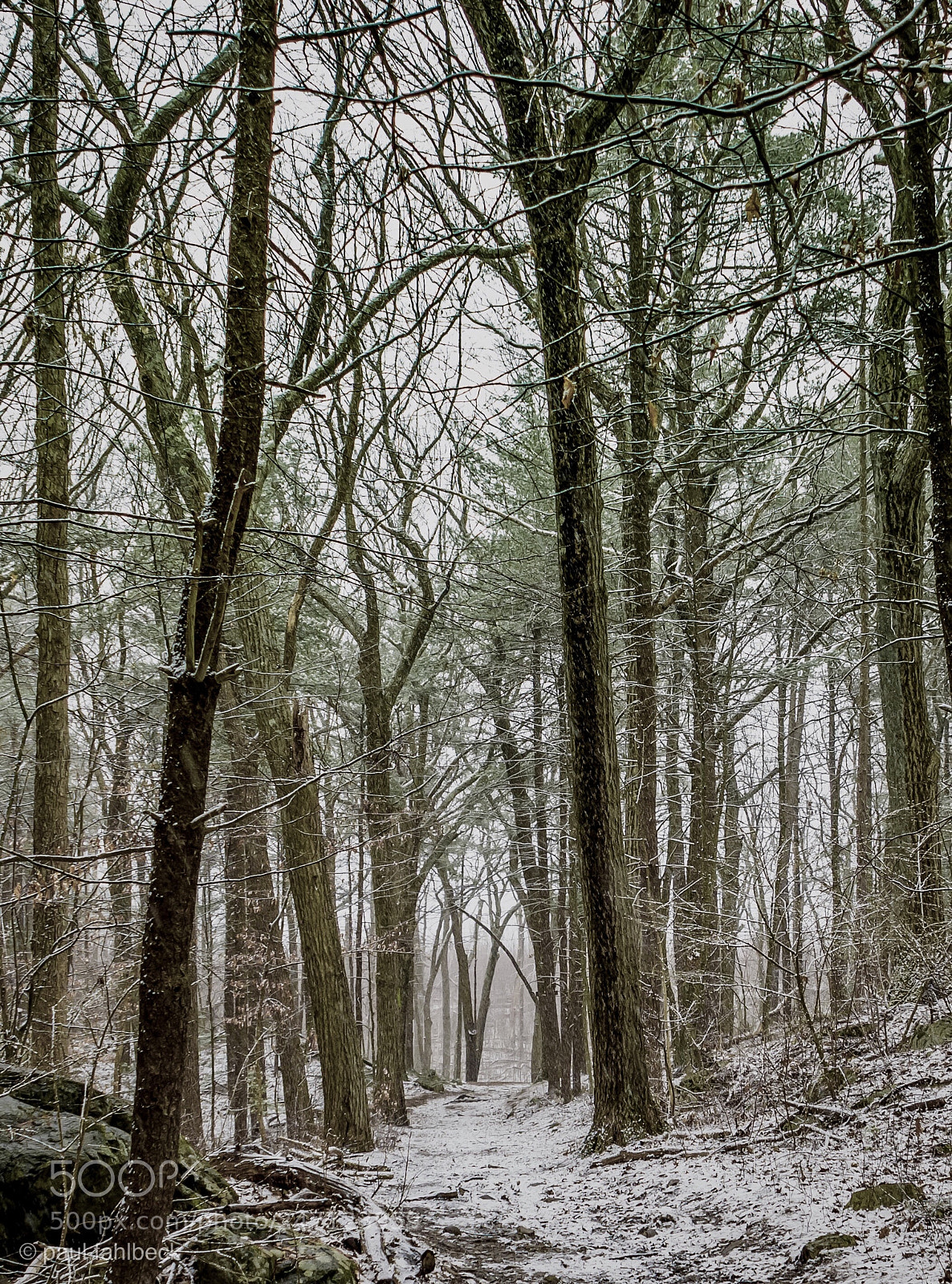 Nikon D7200 sample photo. Untitled photography