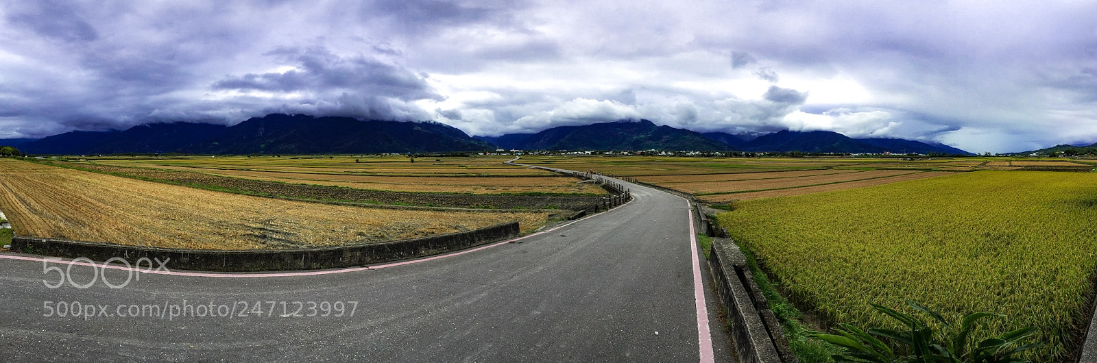 Apple iPhone 6 sample photo. Look over the field photography