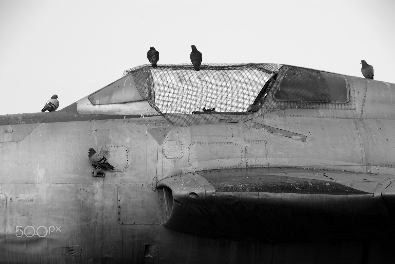 Nikon D200 sample photo. Gate guardian photography