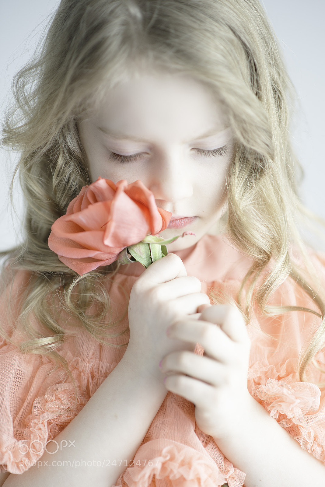 Nikon D600 sample photo. Untitled photography