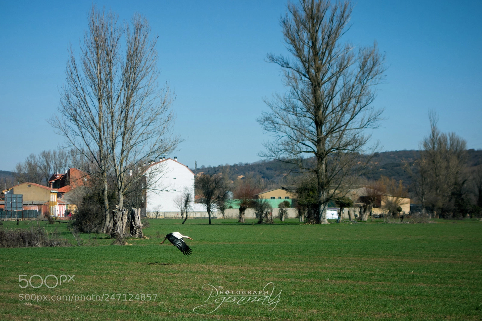 Sony Cyber-shot DSC-RX100 sample photo. Take off photography