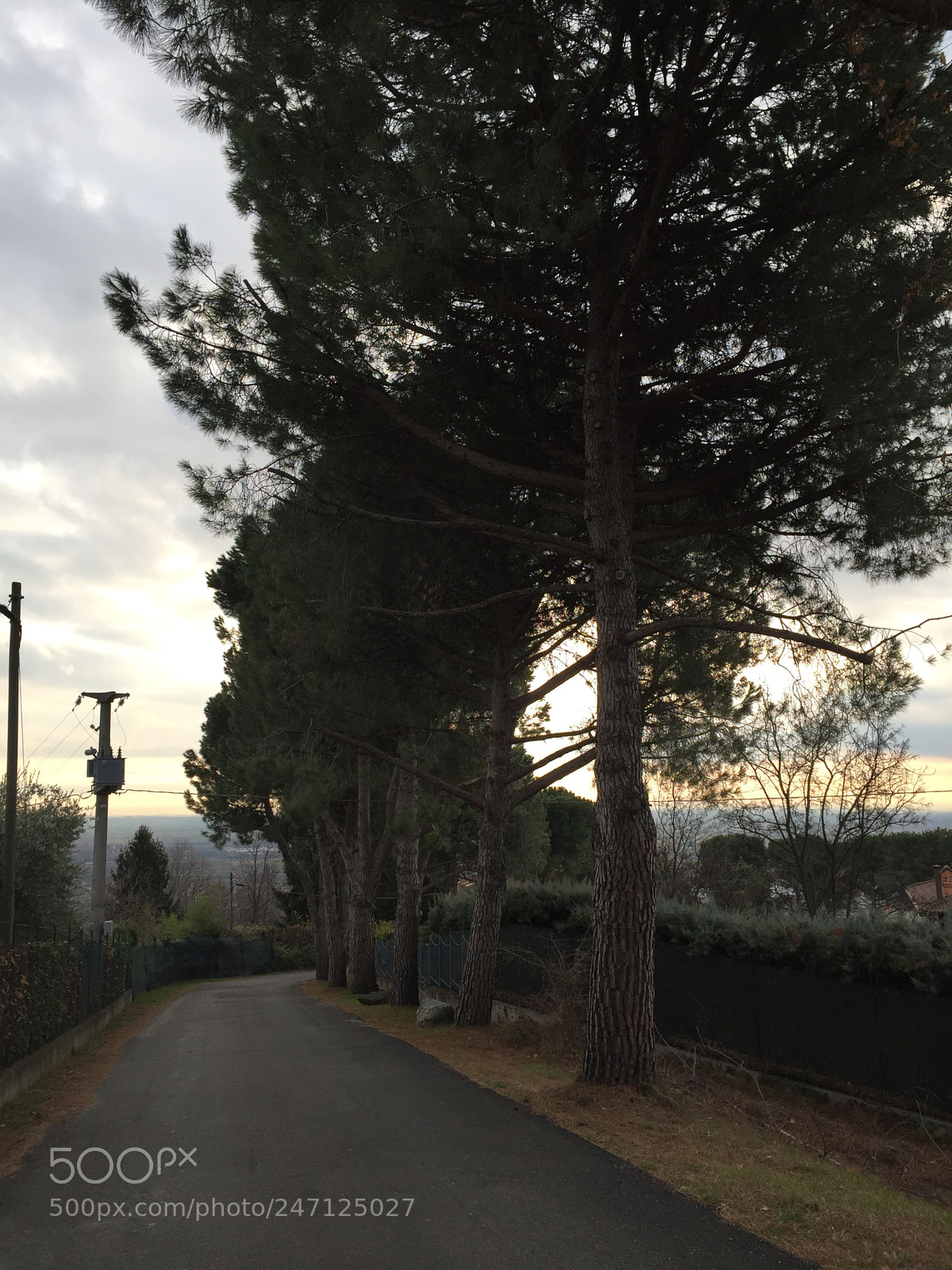 Apple iPhone 6 Plus sample photo. Collina italy photography