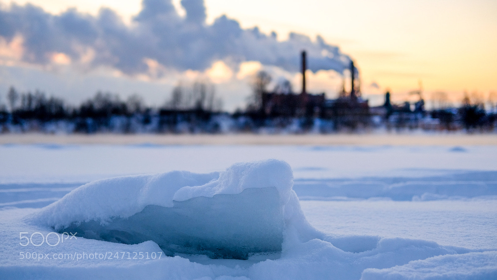 Fujifilm X-T10 sample photo. Ледяная акула / ice shark photography