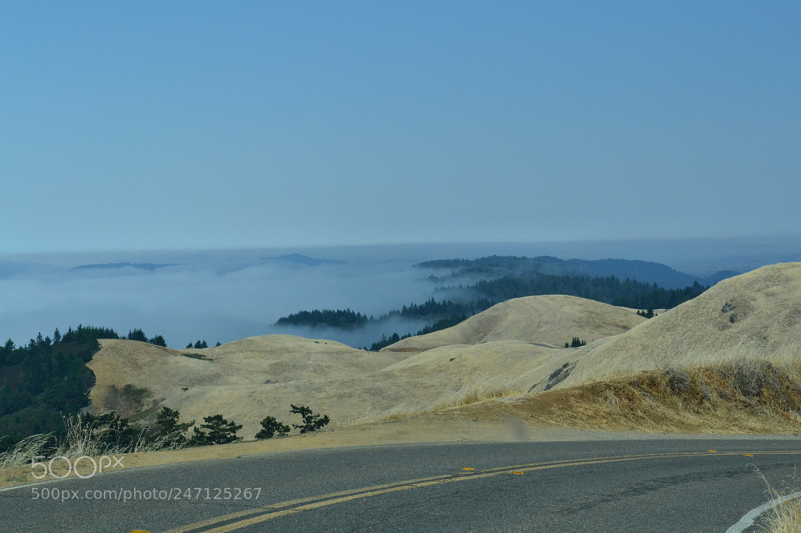 Nikon D3100 sample photo. Low fog over the photography