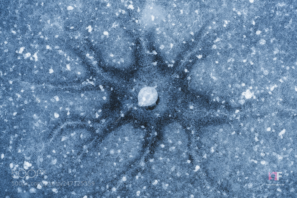 Nikon D850 sample photo. Pond galaxy photography