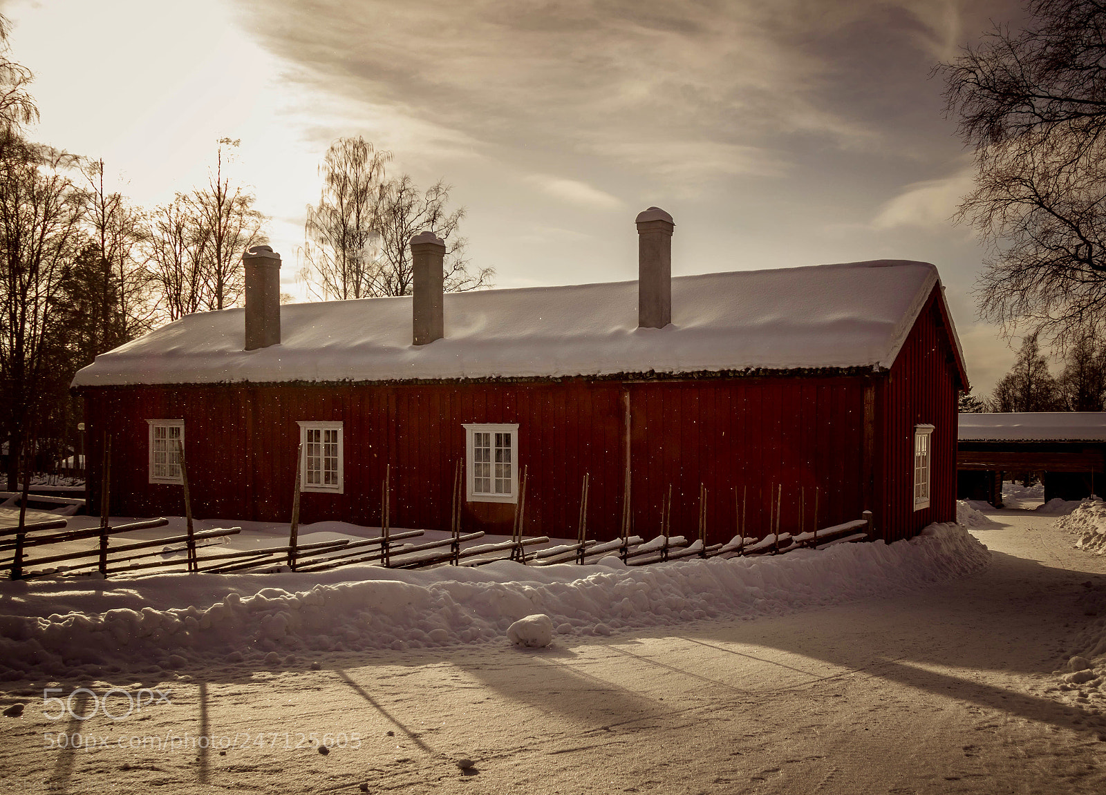 Canon EOS 750D (EOS Rebel T6i / EOS Kiss X8i) sample photo. Winter sunlight photography