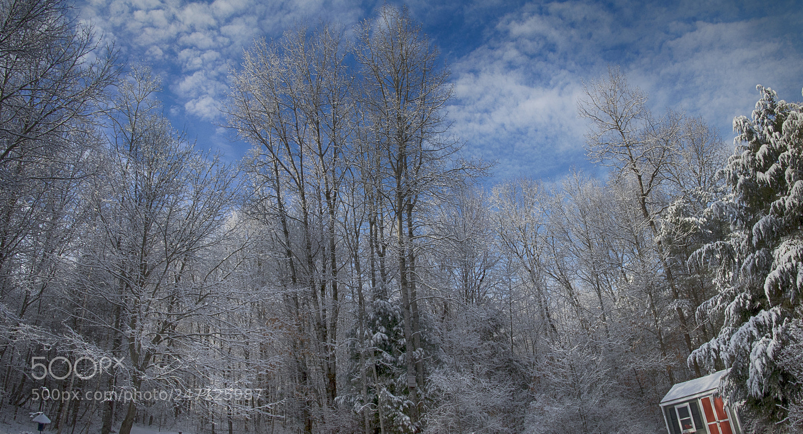 Canon EOS 80D sample photo. Colors of new england photography