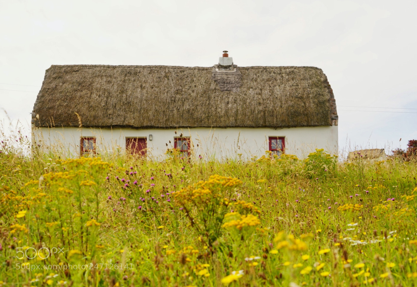 Sony a7R II sample photo. Ireland island lodge photography