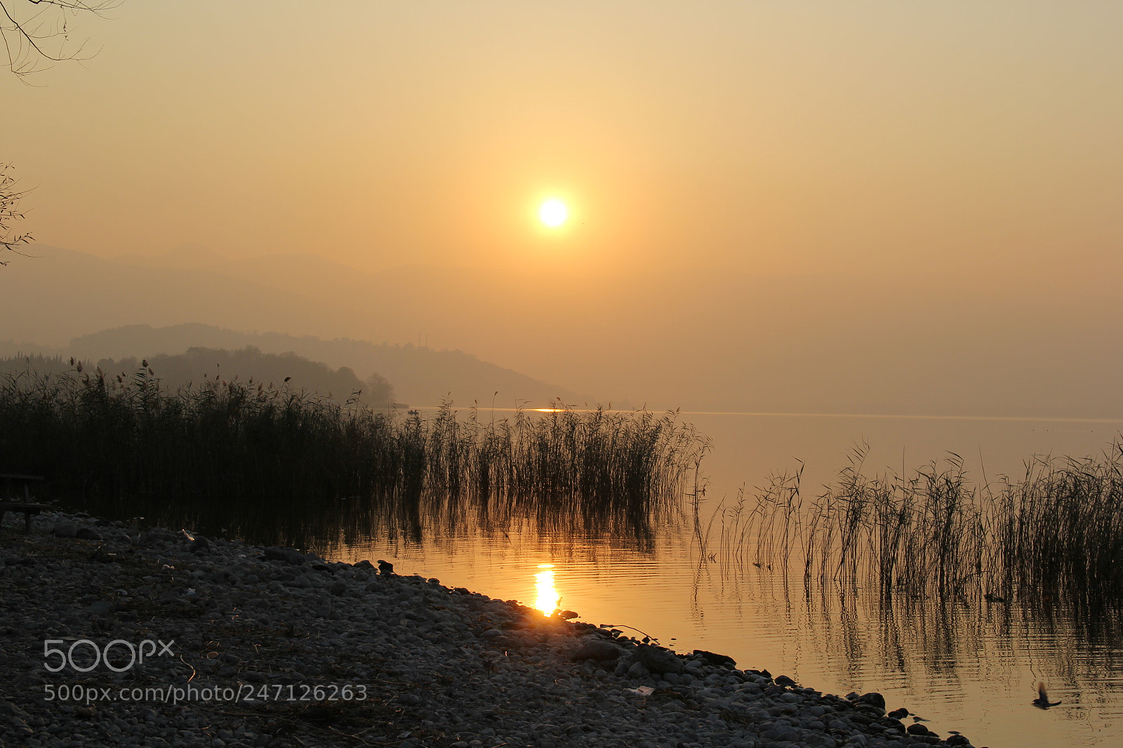 Canon EF-S 18-135mm F3.5-5.6 IS sample photo. Untitled photography