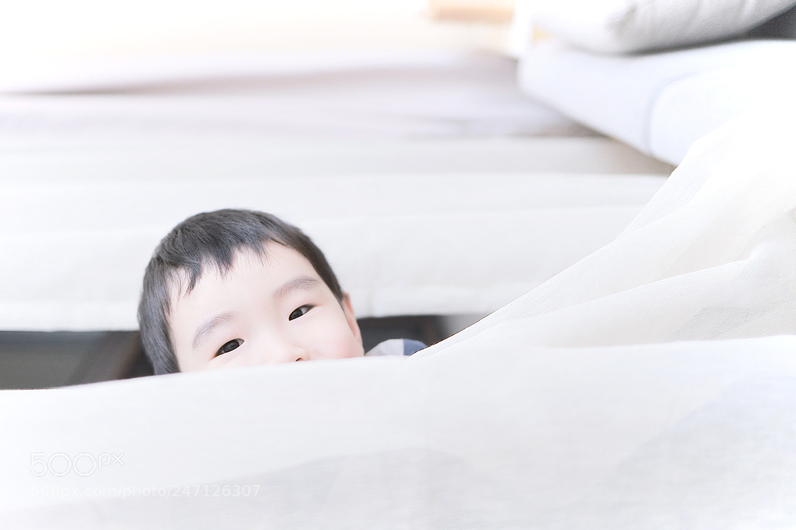 Canon EOS 6D Mark II sample photo. Untitled photography