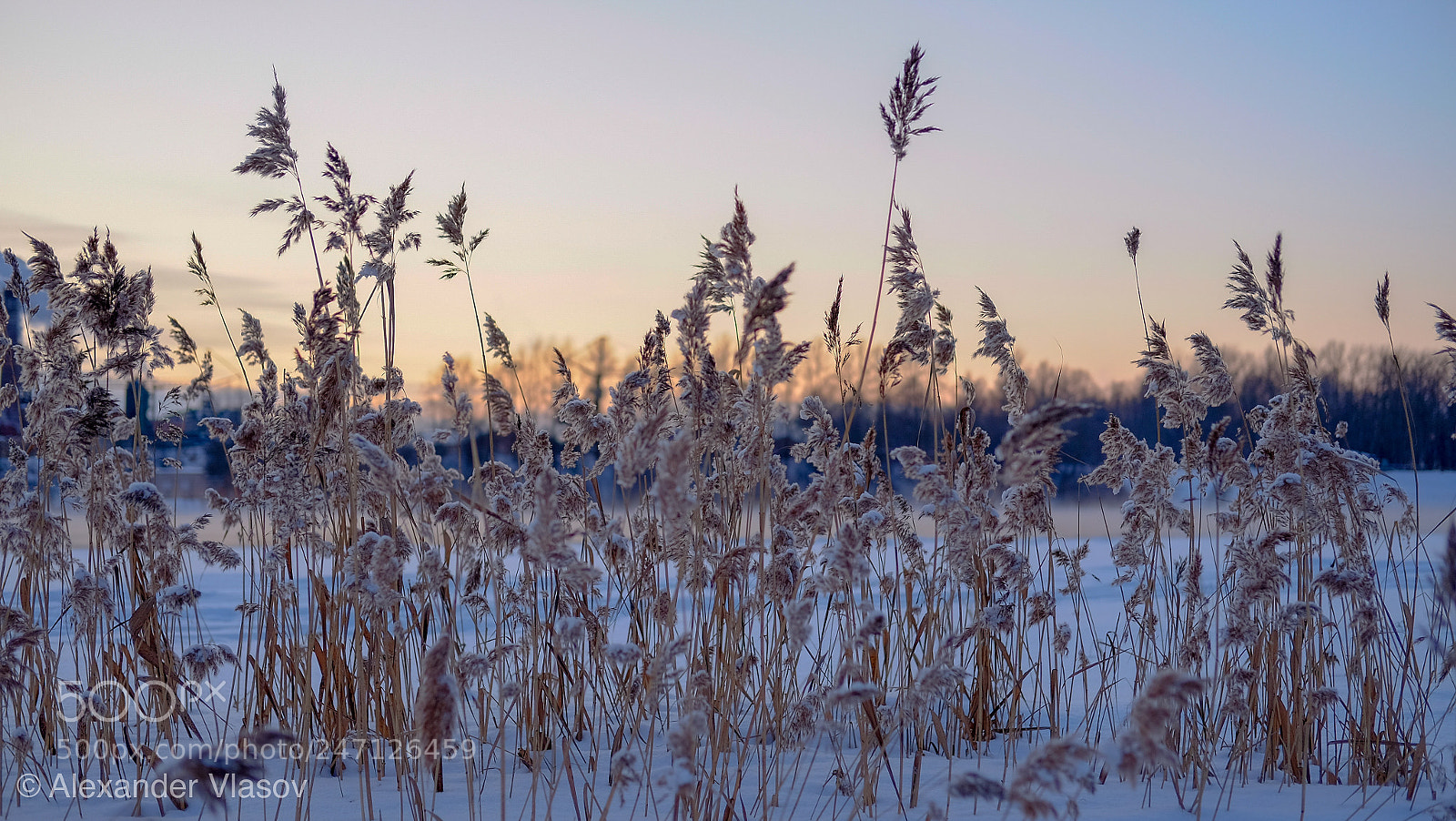 Fujifilm X-T10 sample photo. Вечер / evening photography
