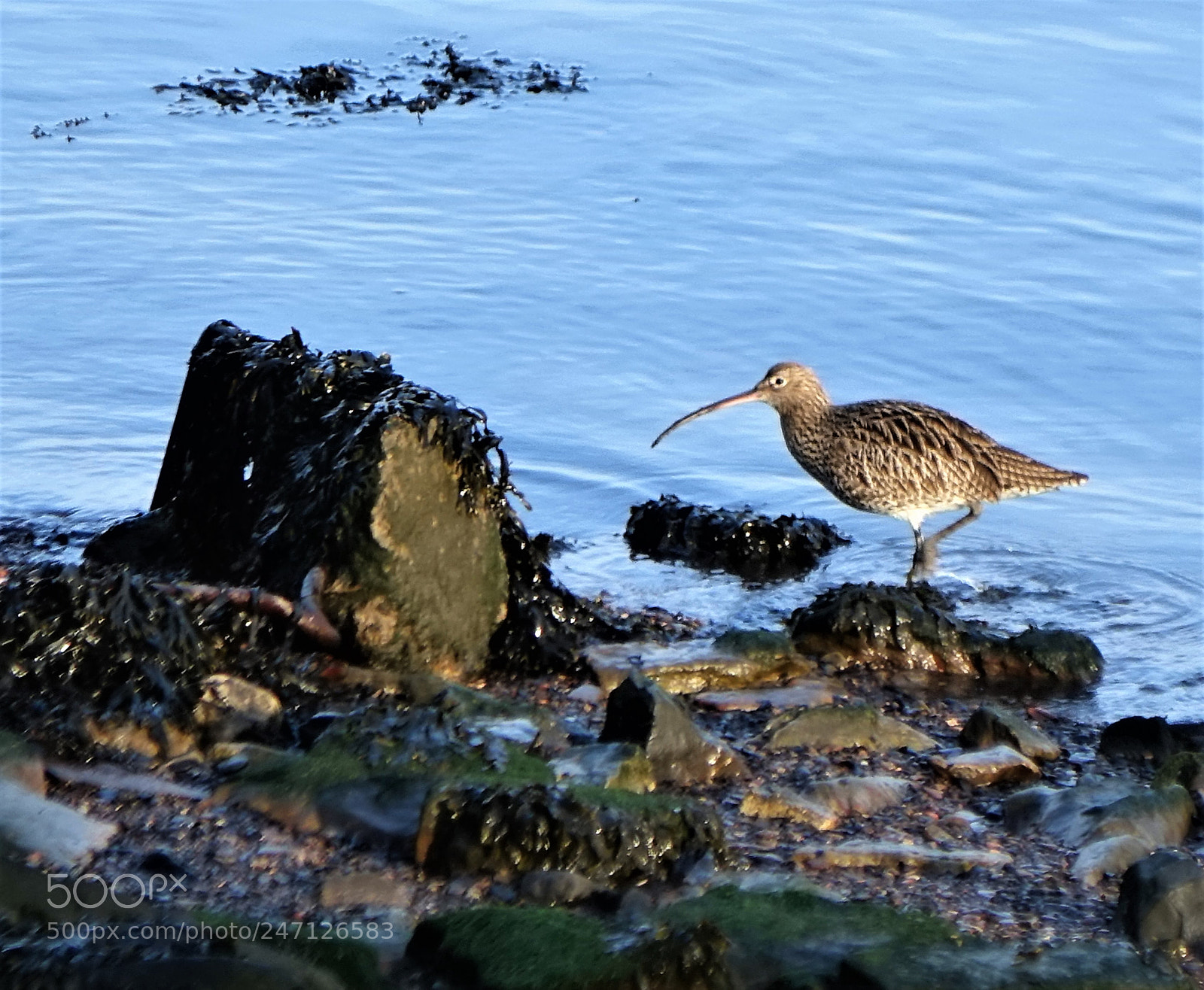 Sony Cyber-shot DSC-RX10 sample photo. Going fishing photography