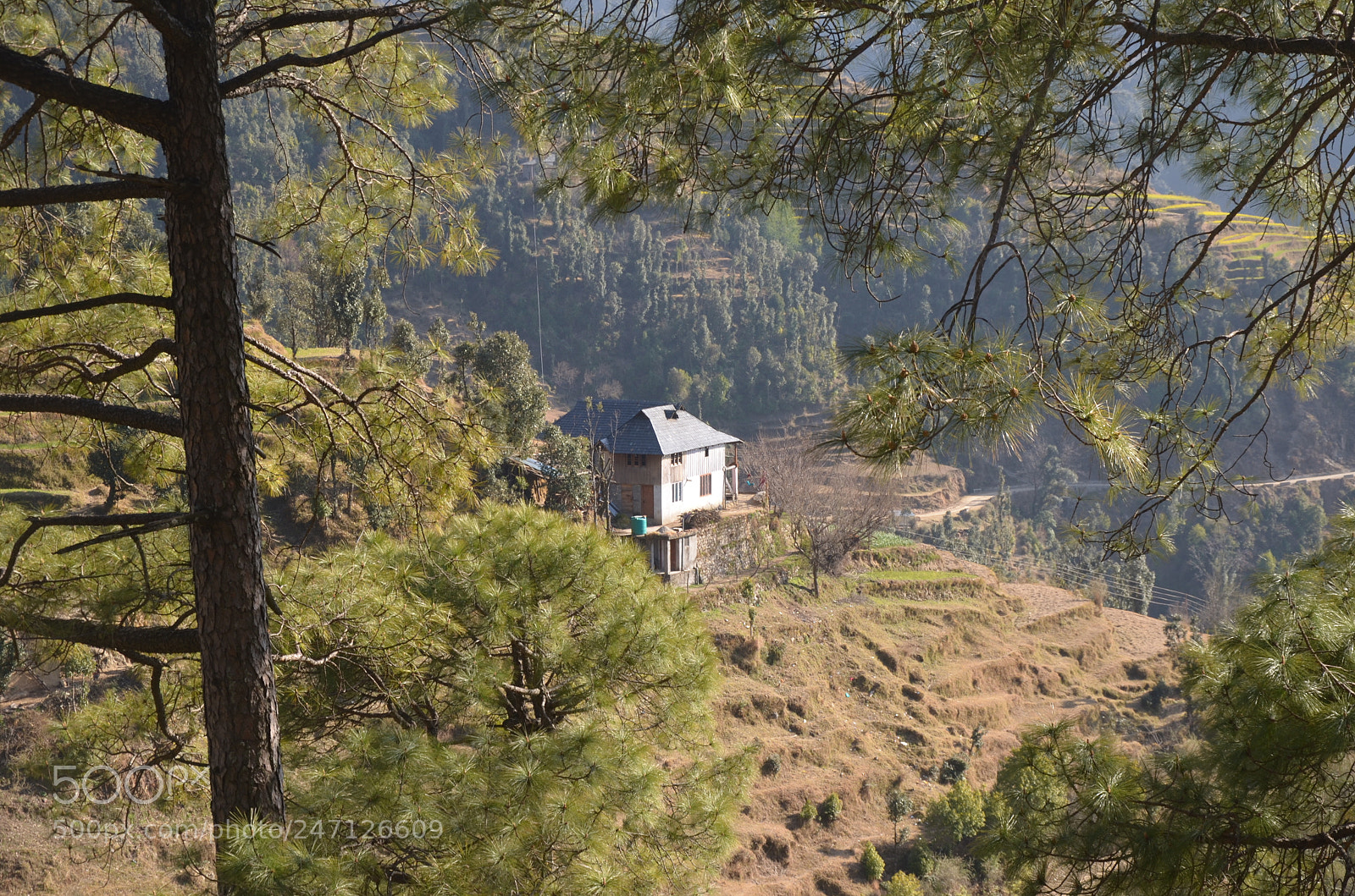 Nikon D5100 sample photo. Cottage photography