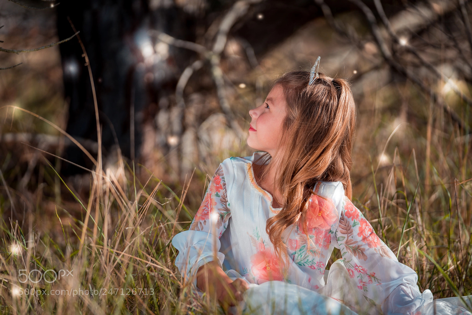 Sony a7R III sample photo. Lights too photography