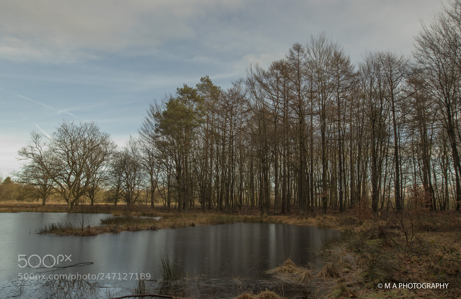 Canon EOS 80D sample photo. Veenmeer 4 photography