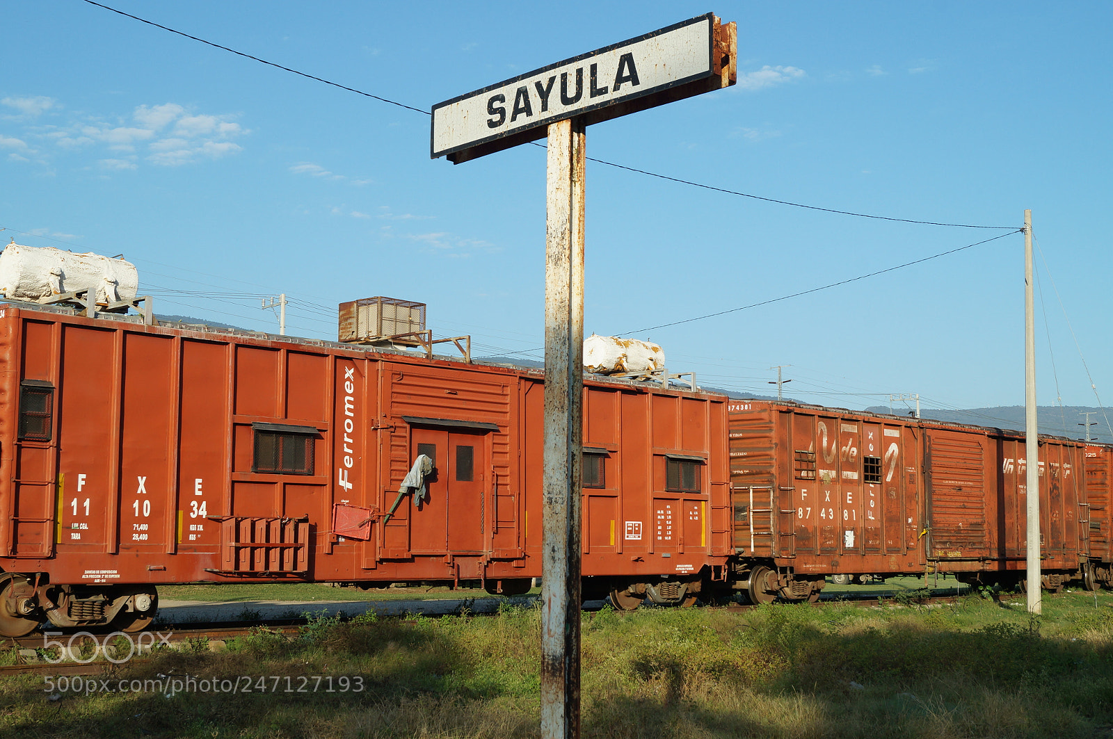 Sony SLT-A37 sample photo. Sayula photography