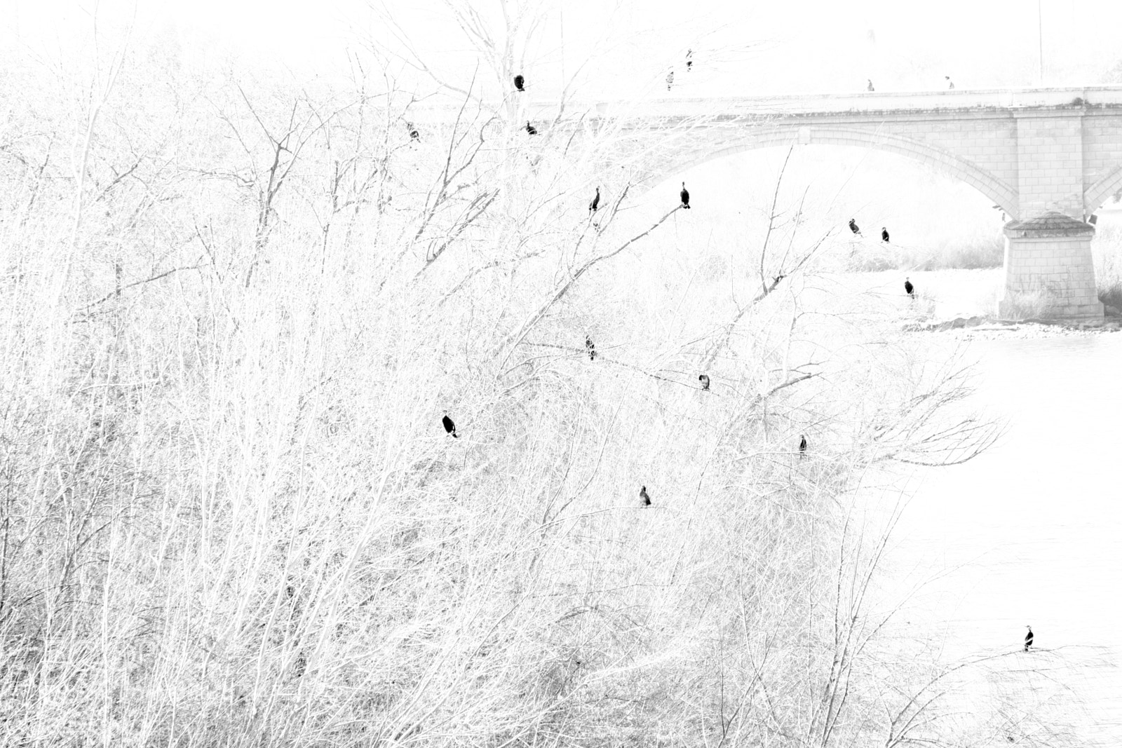 Fujifilm X-M1 sample photo. Black spots photography