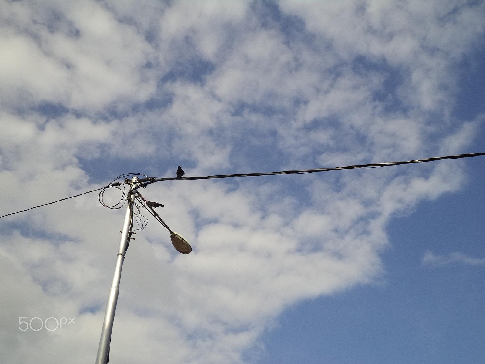 Sony Cyber-shot DSC-W710 sample photo. Little bird on the cloud photography