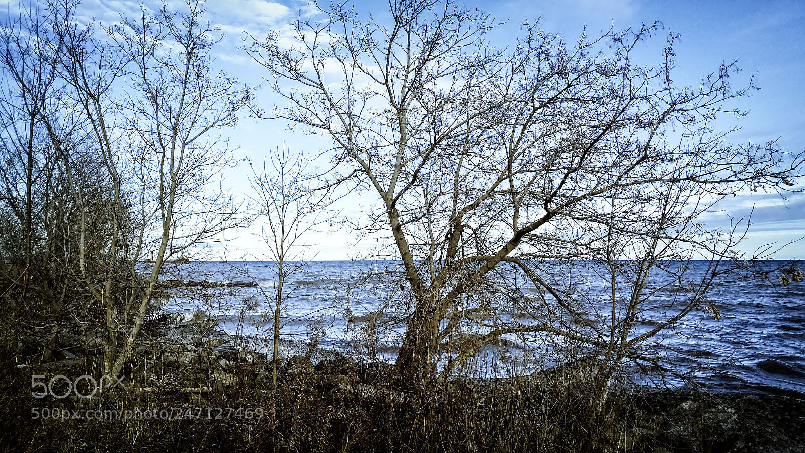 LG G5 sample photo. Lakeside photography