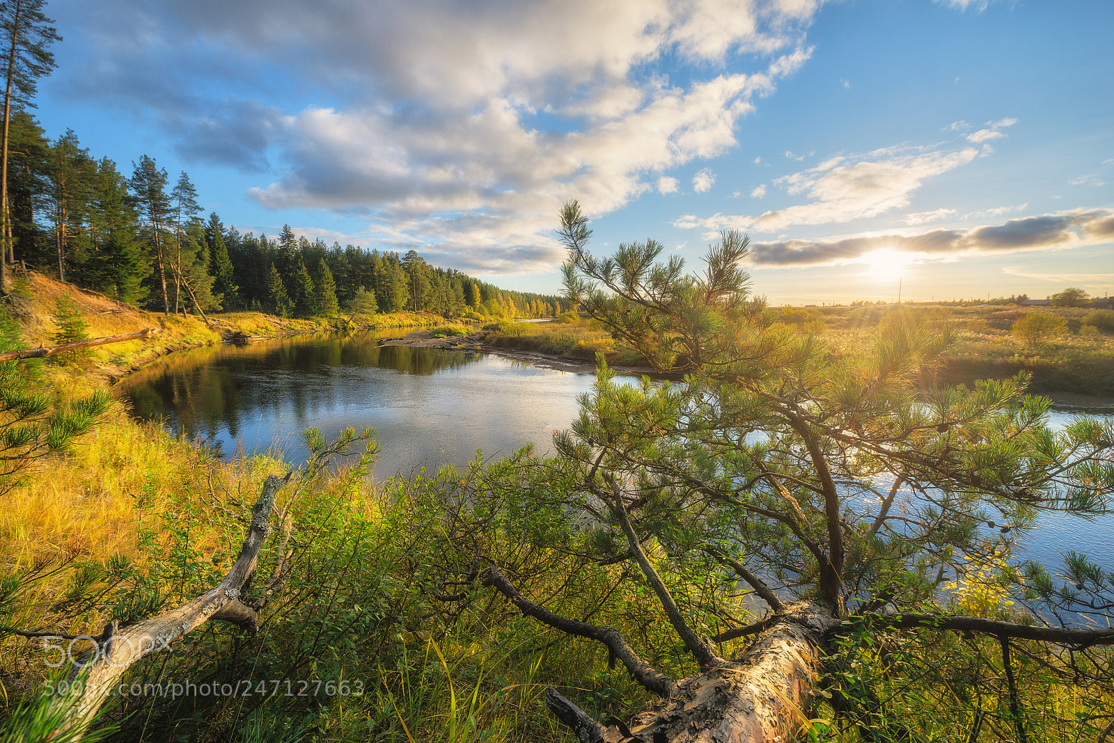 Nikon D610 sample photo. 855. on the autumn photography