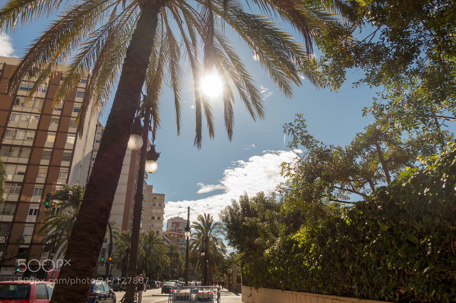 Sony Cyber-shot DSC-RX100 IV sample photo. Palmtree with a bit photography