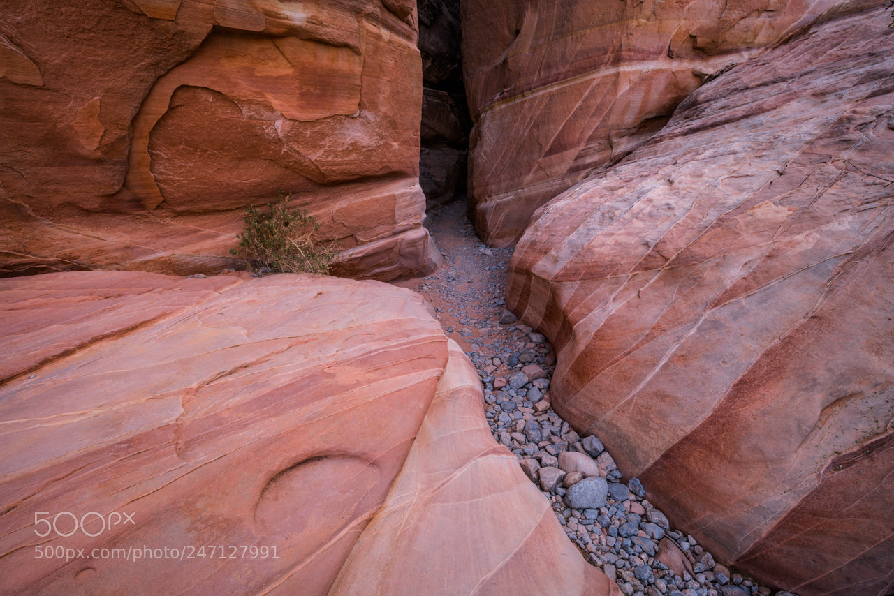 Sony a7R II sample photo. Doorway photography