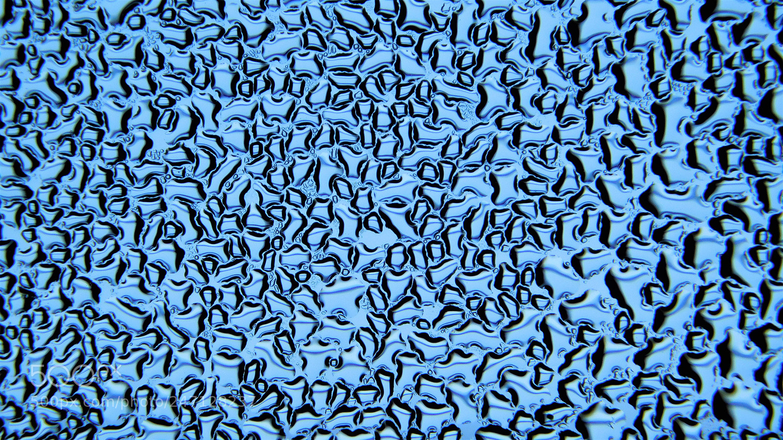 Nikon Coolpix B500 sample photo. Water on lens // marshall photography