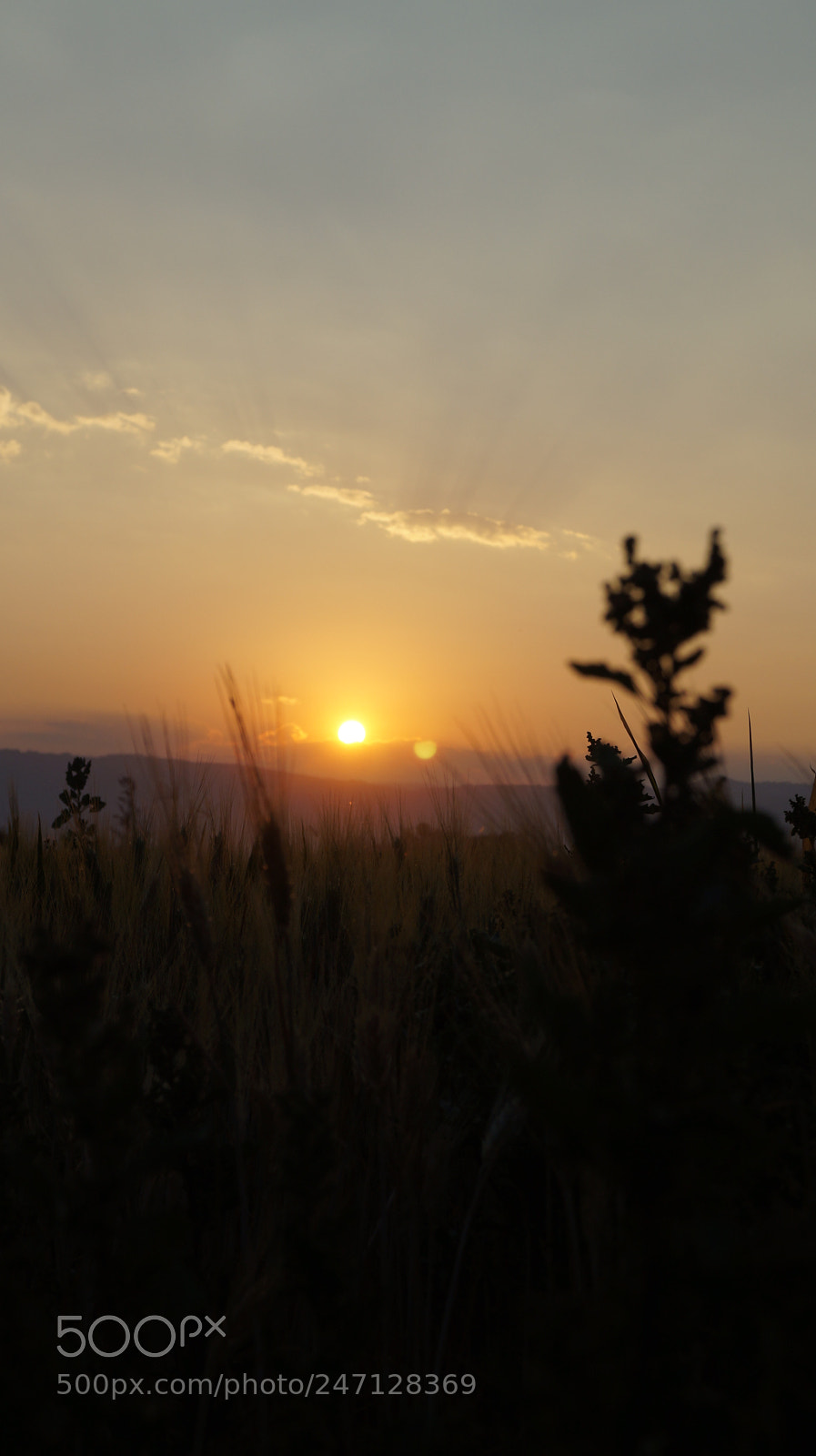 Sony SLT-A37 sample photo. Atardecer photography