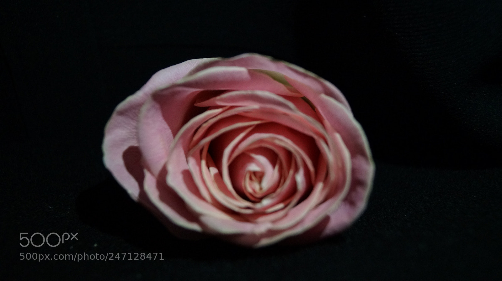 Sony SLT-A37 sample photo. Sombras photography