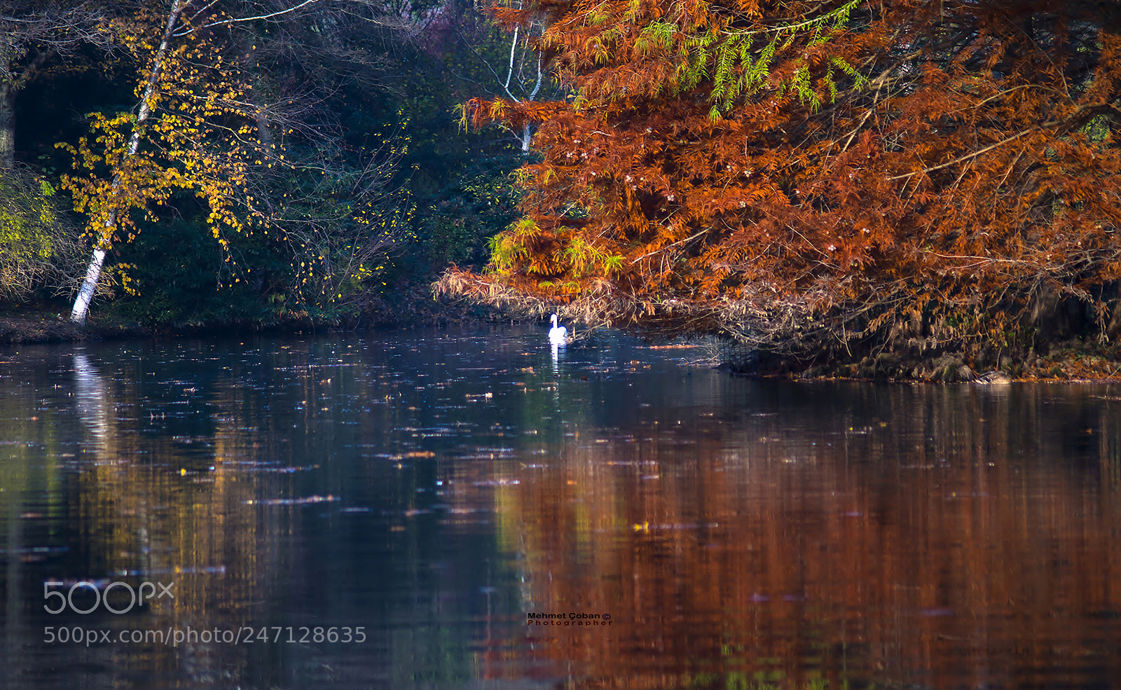 Pentax K-3 II sample photo. A part of nature. photography