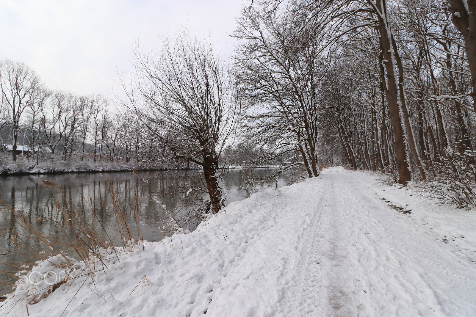 Canon EOS 77D (EOS 9000D / EOS 770D) sample photo. Der weg am fluss photography
