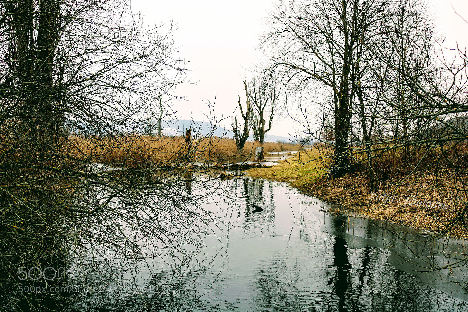 Canon EOS 750D (EOS Rebel T6i / EOS Kiss X8i) sample photo. Eisiges riedt photography
