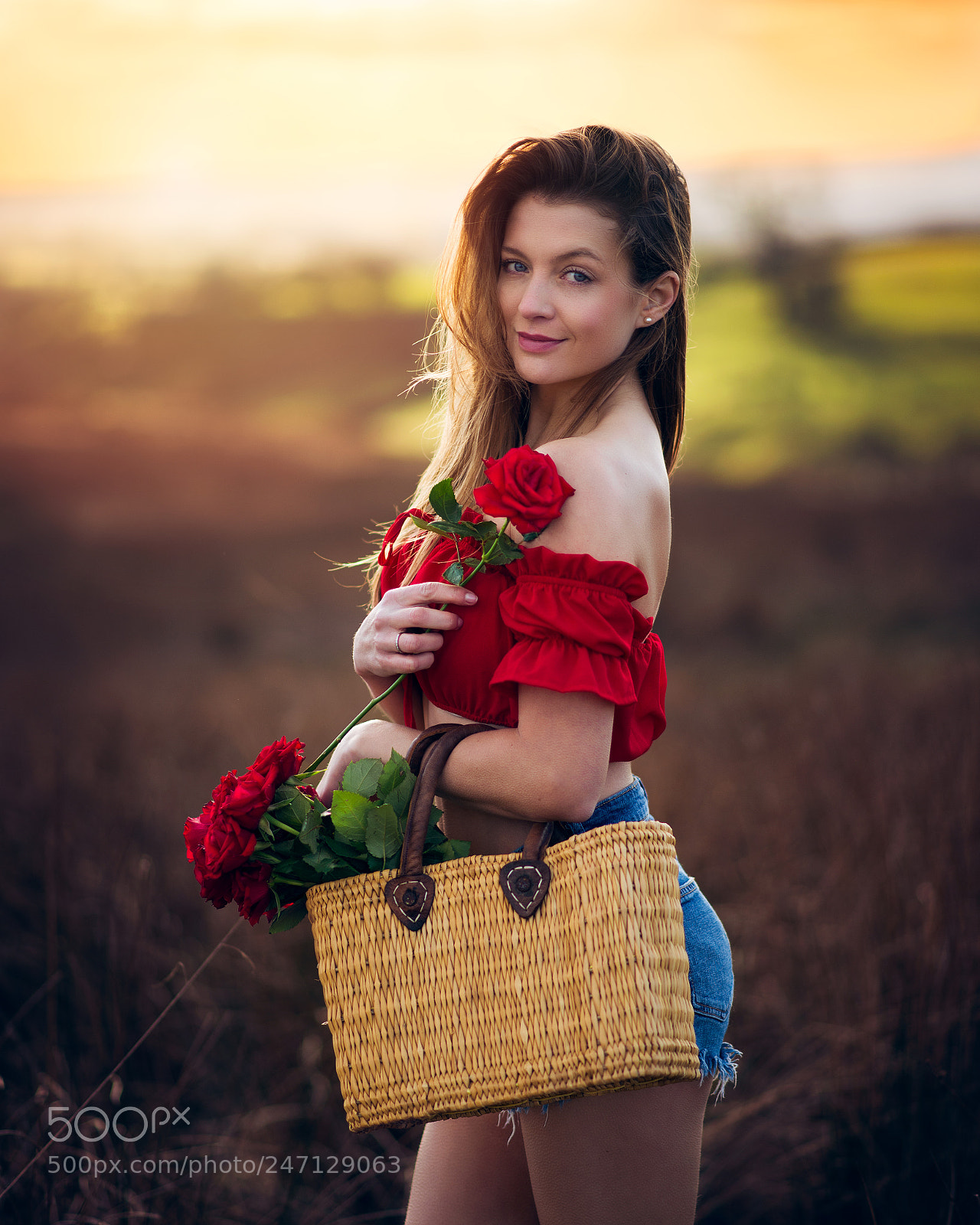 Nikon D610 sample photo. Red flowers photography