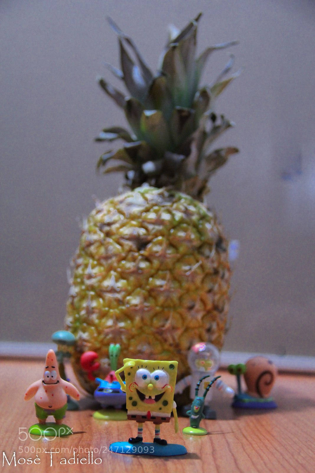 Canon EOS 550D (EOS Rebel T2i / EOS Kiss X4) sample photo. The real spongebob photography