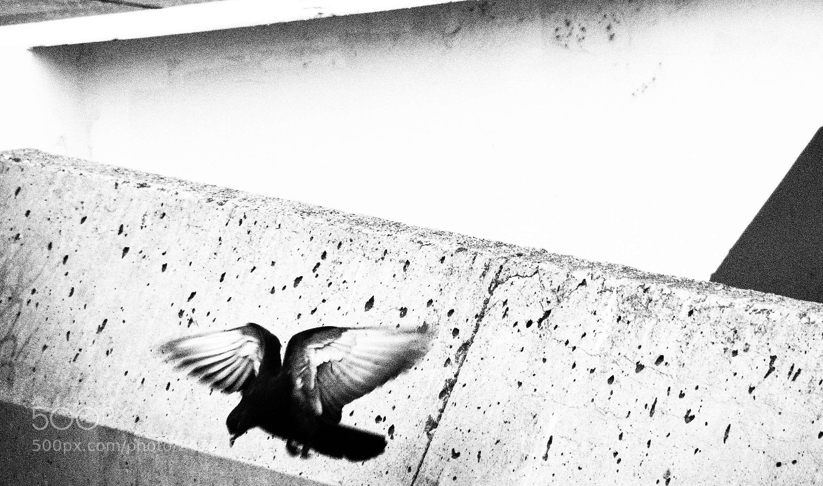 Olympus OM-D E-M5 II sample photo. Colom photography