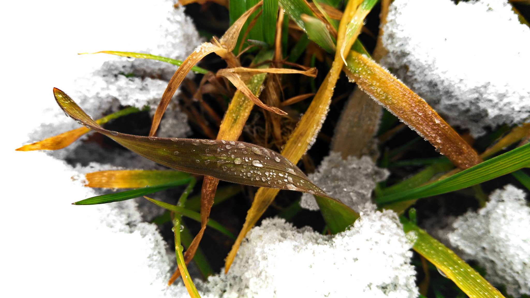 HUAWEI G7-L01 sample photo
