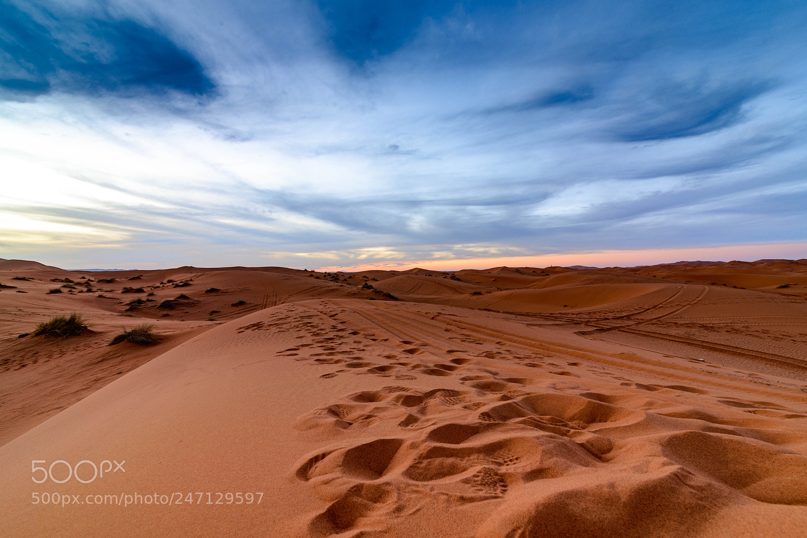 Nikon D610 sample photo. Erg chebbi photography