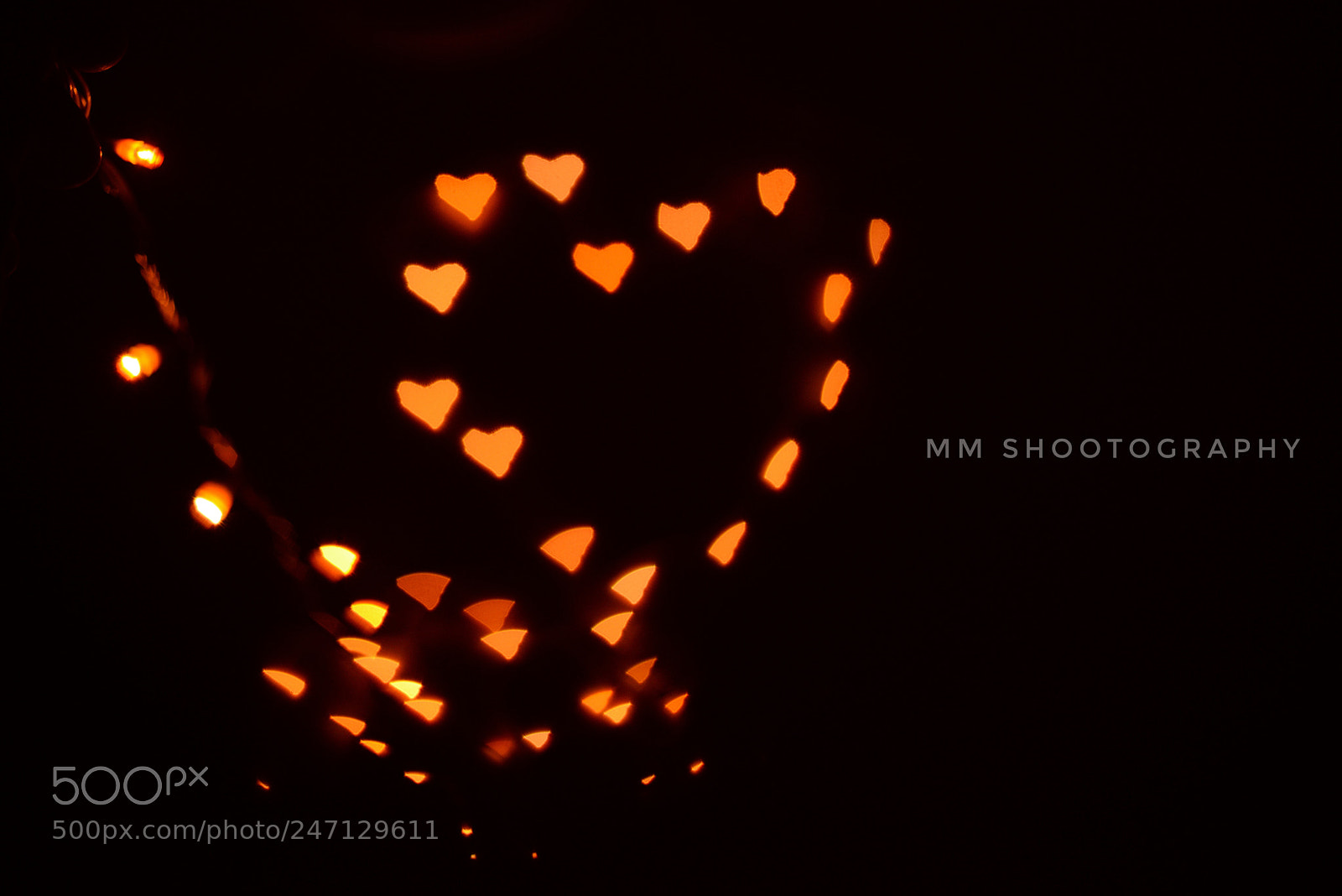 Nikon D610 sample photo. Lights hearts photography