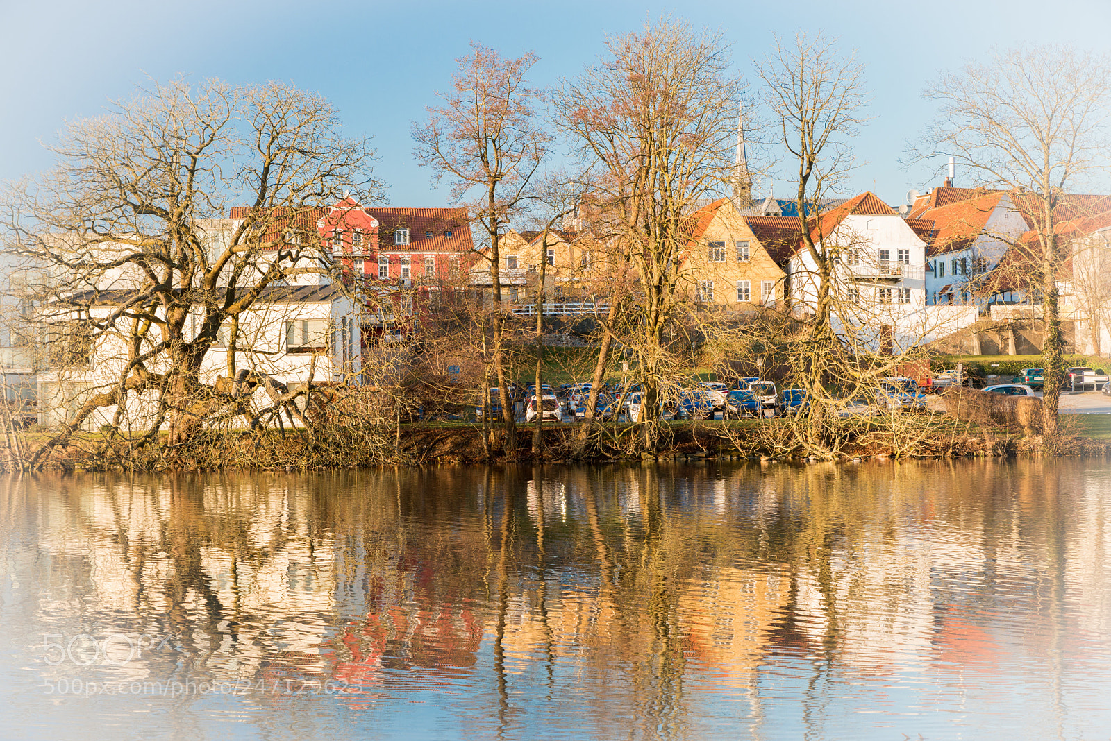 Nikon D610 sample photo. Pond photography