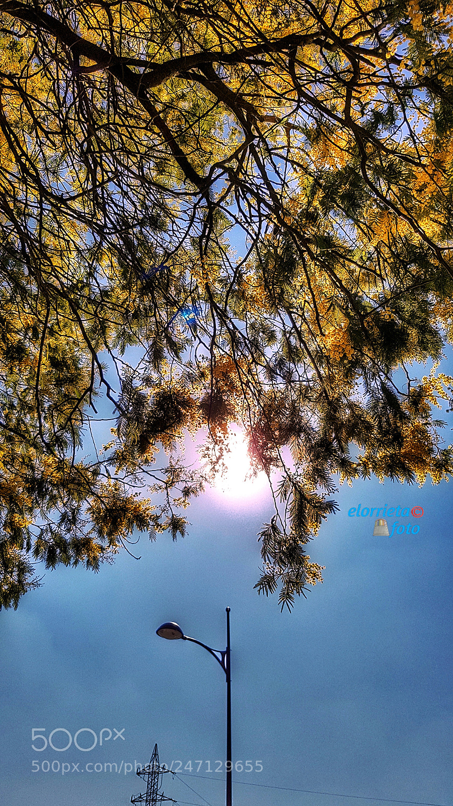 Samsung Galaxy S7 Edge sample photo. Untitled photography