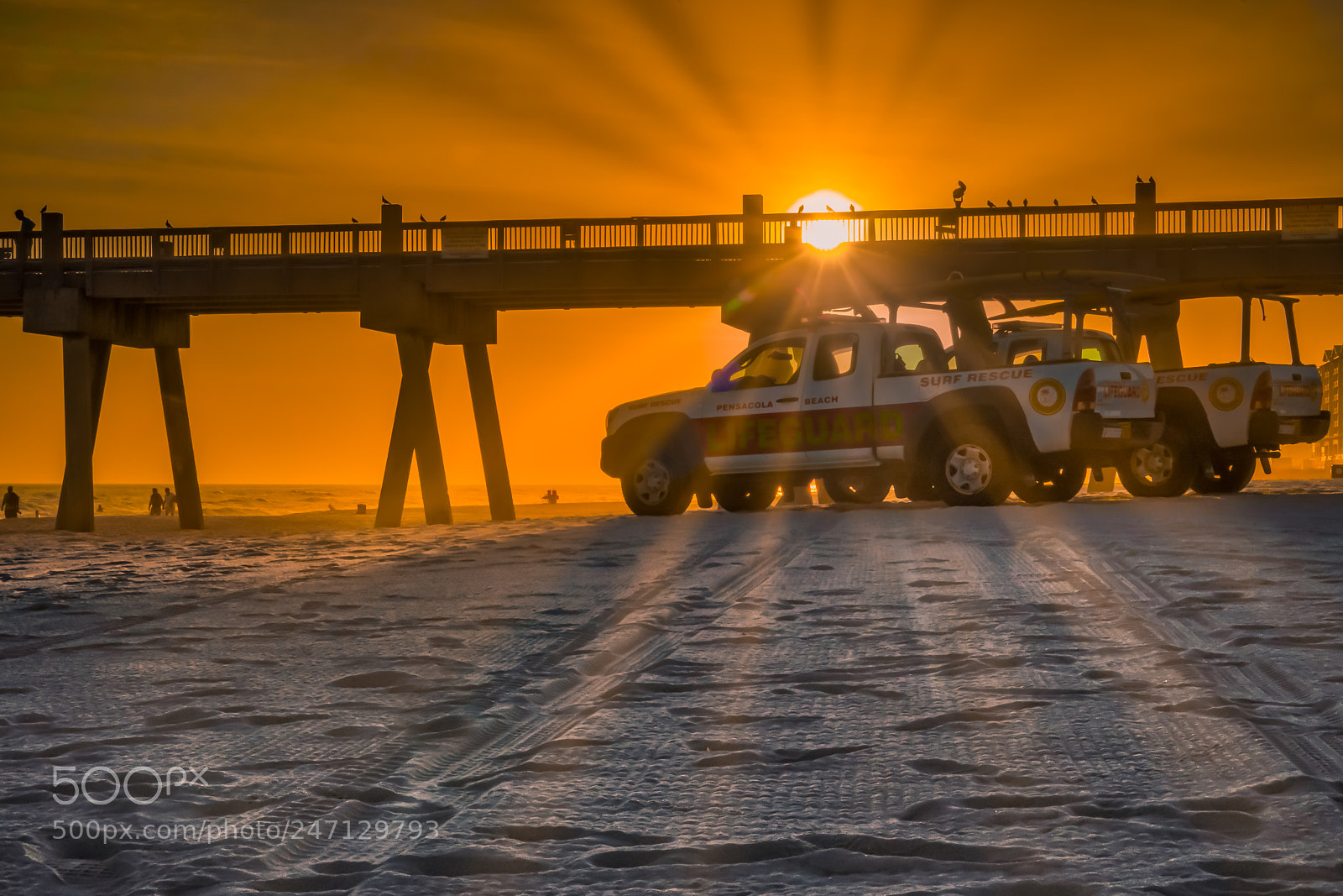 Sony a9 sample photo. Golden beach sunset photography