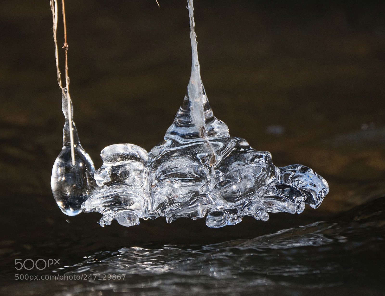 Olympus OM-D E-M1 Mark II sample photo. Icy candelabra photography
