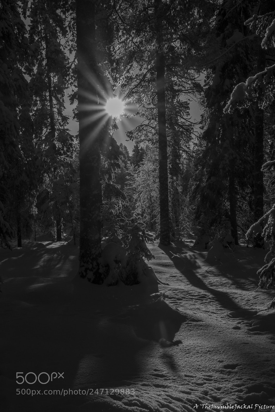 Canon EOS 7D Mark II sample photo. Winter land photography