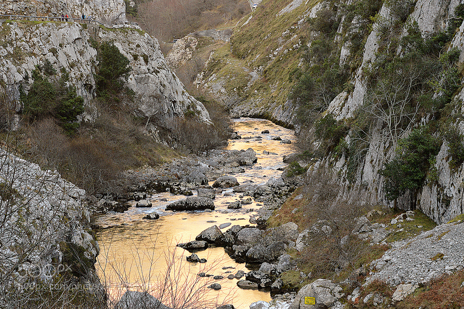 Nikon D3200 sample photo. R o dorado a photography