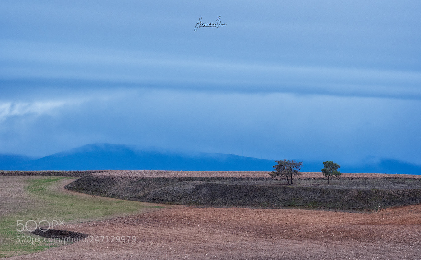 Nikon D500 sample photo. Lands of avila photography