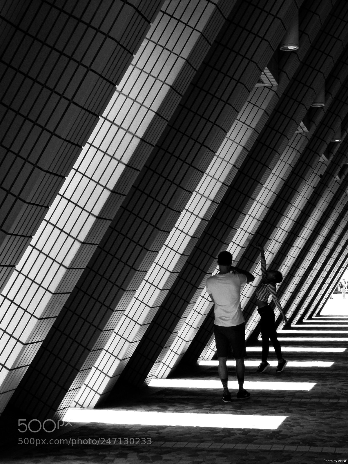 Leica V-Lux 2 sample photo. Untitled photography