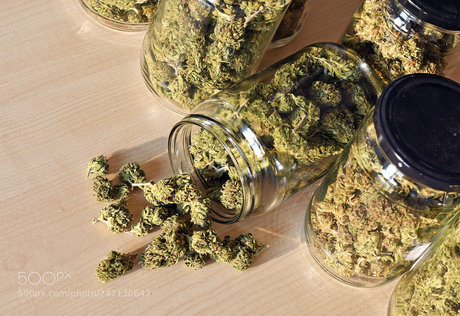 Nikon D500 sample photo. Dry and trimmed cannabis photography