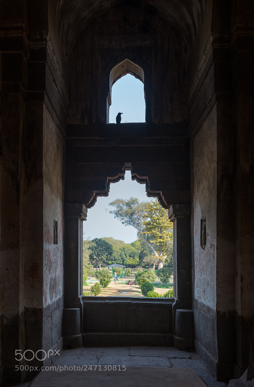 Nikon D850 sample photo. Inside looking out photography