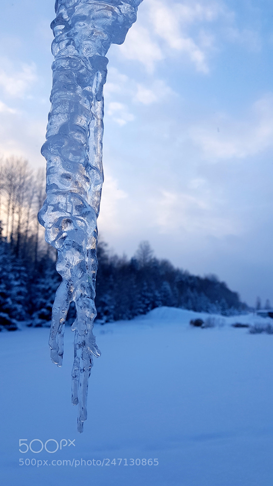 Samsung Galaxy S7 sample photo. Icicle photography